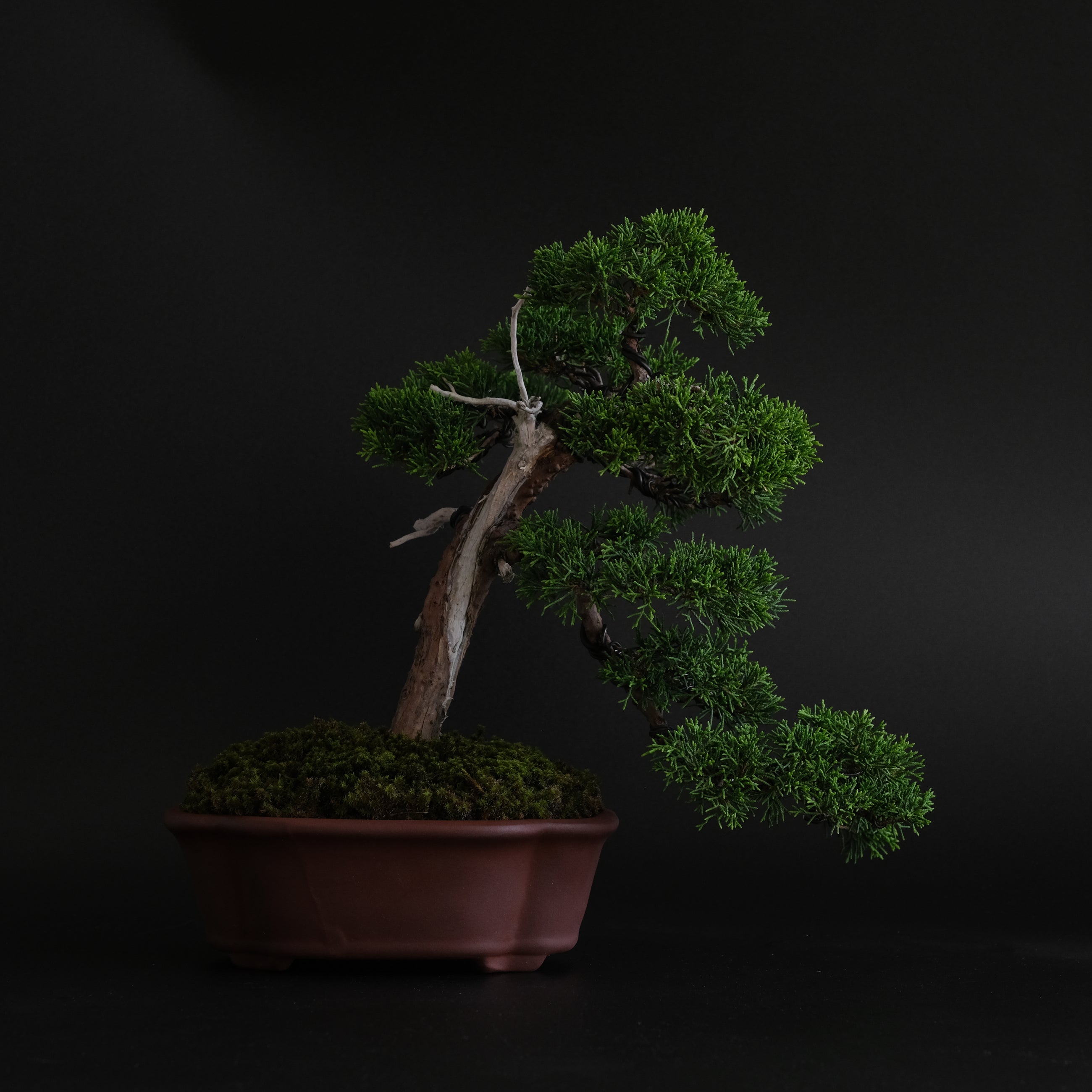 燻 Smoked Olive Oil